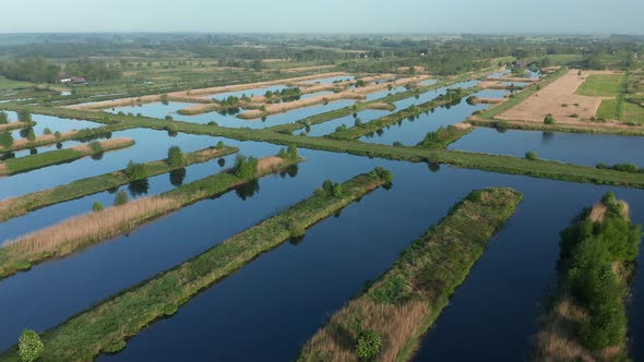 Aerial View Of Dutch Polder During A Clear Summer Day In Weerribben, Netherlands - drone shot