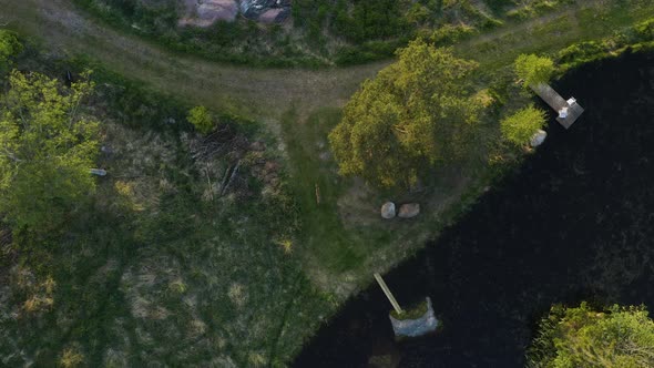 Aerial view above a deer, walking from a lake towards a road and forest, in rural Finland, sunny, su