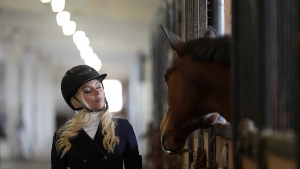 Female Jockey and Her Brown Horse are Communicating in Stable Professional Horse Rider