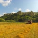 Combine Harvesting Grains At Picturesque Place - VideoHive Item for Sale