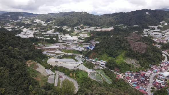 Cameron Highlands, Pahang Malaysia