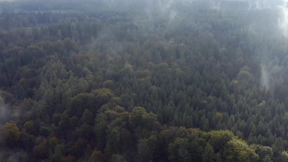 Drone flight backwards through clouds of fog over a wide green forest with some autumn colors.