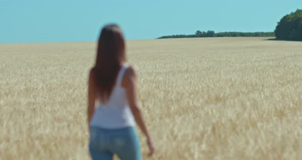 Slender Woman in Jeans Walks Along the Golden Field Rear View