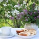 Tea Drinking in the Garden in Spring Against the Backdrop of Flowering Trees - VideoHive Item for Sale