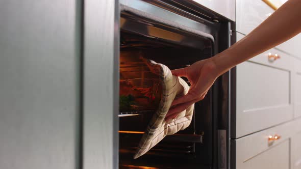 Woman Cooking Food in Oven at Home Kitchen