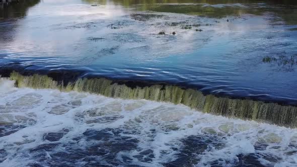 Flying Fish at Ventas Rumba Waterfall. The Widest Waterfall in Europe in Latvia Kuldiga Also Called