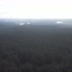 Aerial flight over green foggy forest - VideoHive Item for Sale