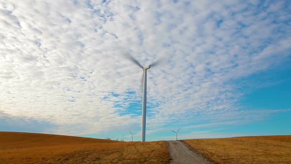Iowa Windmills near a dirt road