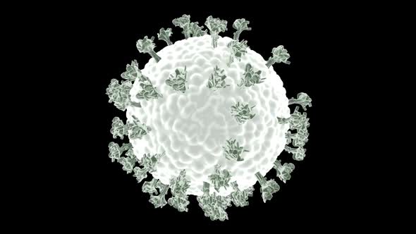 Coronavirus Under Microscope