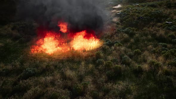 Red Fire in Dry Herb