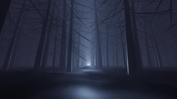 The Dark Forest