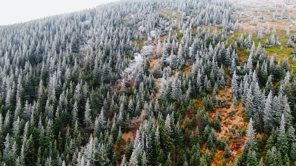 Aerial view frozen mountain with trees in autumn