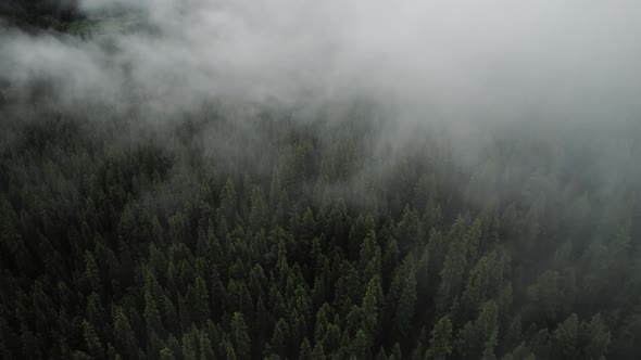 Time Lapse of clouds floating over trees on a mountain