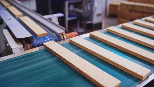 Wooden boards moves in a conveyor line. 