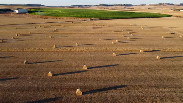 Straw bales at sunset seen from the air, drone view