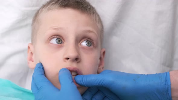 The Dentist Examines the Child