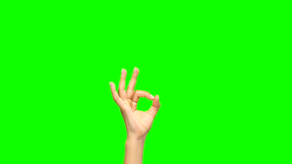 Hand Appearing at Bottom Green Screen, Showing Ok