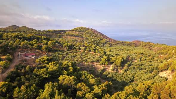 Aerial drone view of nature of Zakynthos, Greece. A lot of greenery, low hills, sunset, Ionian sea
