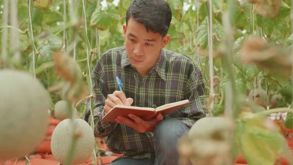 Asian Farmer Is Documenting Data The Yield And Growth Of Melons In Organic Farms With Book