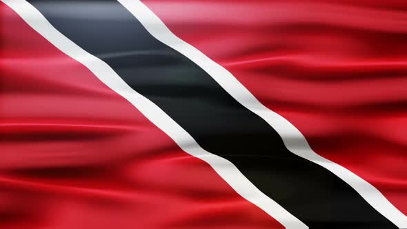 Trinidad And Tobago Flag Waving