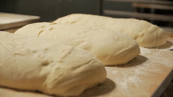 Raw Bread Dough