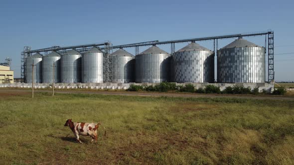 Grain Elevator