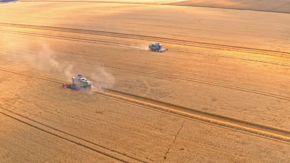 Big field and small harvesters in Poland, aerial view