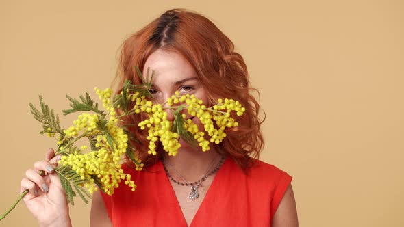 Colorful Portrait of Attractive Woman with Ginger Hair Smiling and Smelling Mimosa Blossoms Isolated