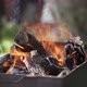 Fire in the Barbecue in Nature - VideoHive Item for Sale