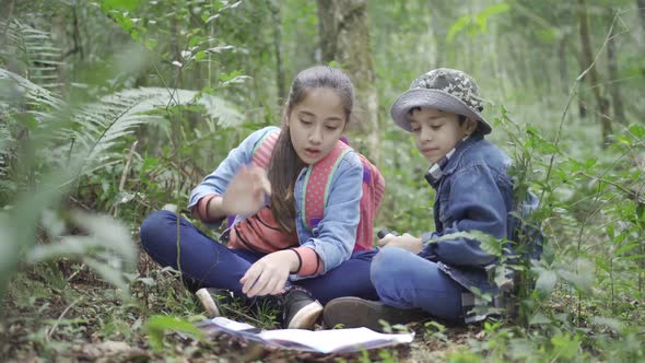 Ethnic children talking while studying plants in forest