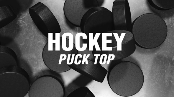 Hockey Puck Top