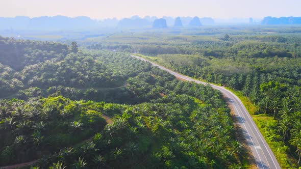 Aerial view of the road