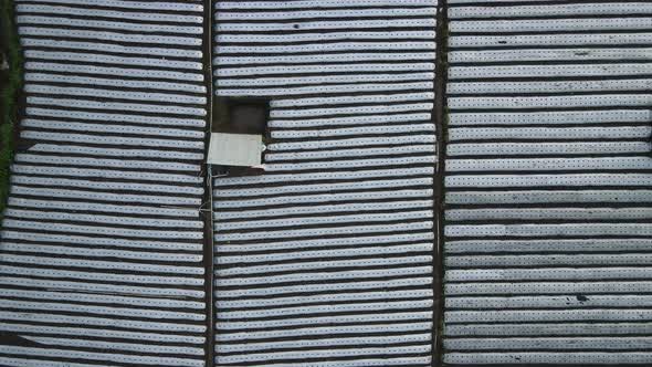 White spunbond rows on a farm field. Protective coating for corps and plants.