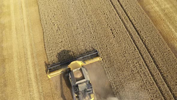 Harvester Harvests Wheat Crop On Field