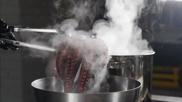 Octopus Being Boiled. Slow Motion. Chef Taking Out Big Octopus with Tongs. White Steam From Saucepan