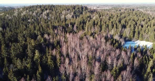 Aerial Footage Over Hilly Forest Winter Scenery View