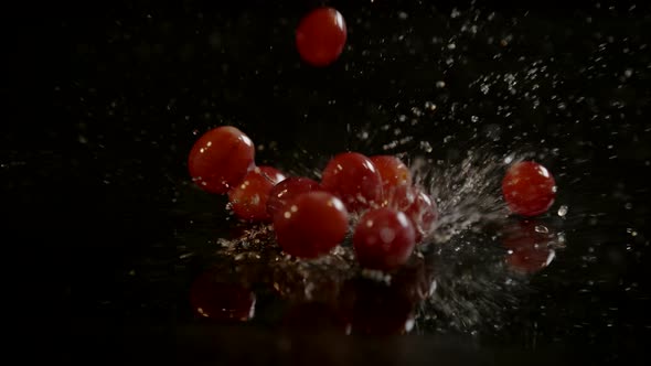 Grape berries falling on wet surface, Ultra Slow Motion