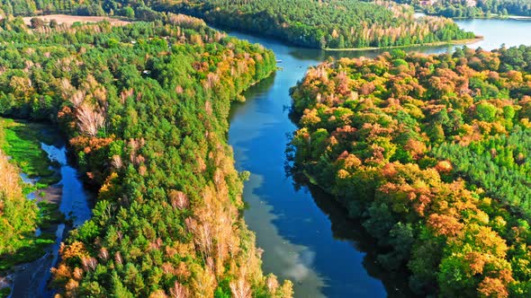 Colorful autumn forest and river, aerial view of Poland