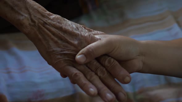 Kid’s Hand Holding The Hand Of Old Woman