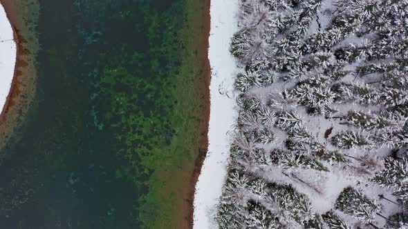 A Drone Shot of Green Lake in Austrian Alps