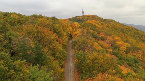 Follow From The Air On An Old Road In The Middle Of A Colored Autumn Forest