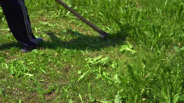 The Mower Mows the Green Grass with a Manual Metal Scythe