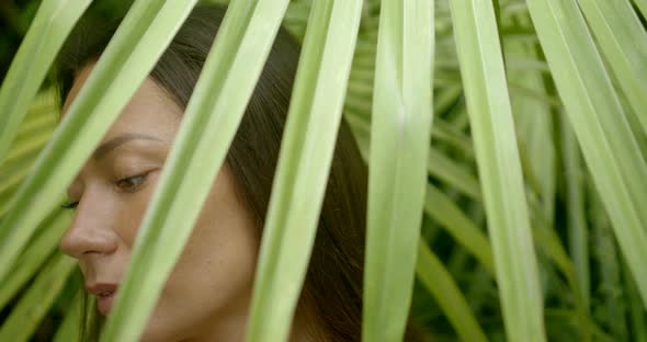 Pretty No Makeup Woman Is Standing Behind Tropical Palm Leaf, Close-up Portrait