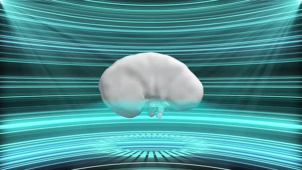 4K Sci Fi Hologram Human Kidney Background Seamless Loop