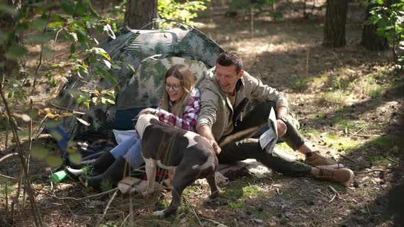 Carefree Relaxed Couple Sitting at Tent in Forest with Tablet and Paper Map As Joyful Dog Running to