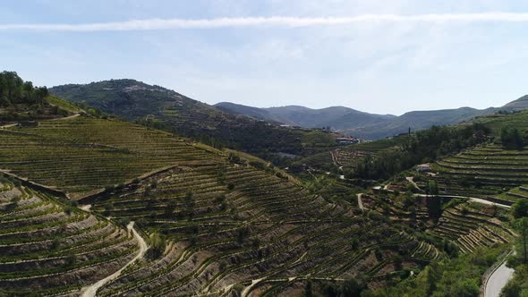 Famous Vineyards Douro Valley Porto Wine Region Portugal