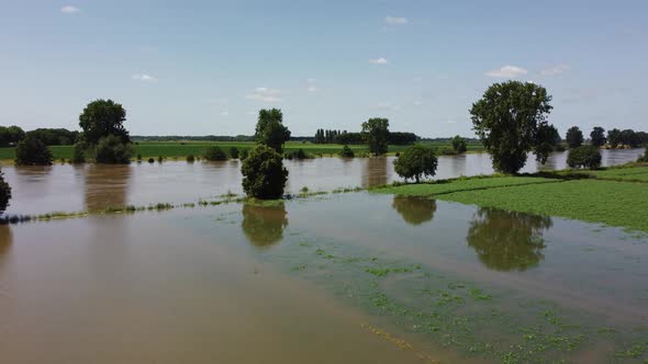 Floodplains and drowned trees at river Maas in the Netherlands, Aerial