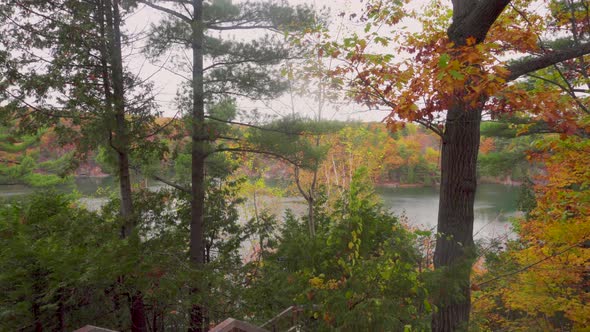 Slow forward shot in a forest in the autumn with a lake in the distance on a boardwalk with a lookou