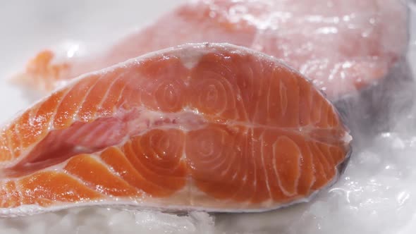 Fresh Salmon Lies in the Refrigerator