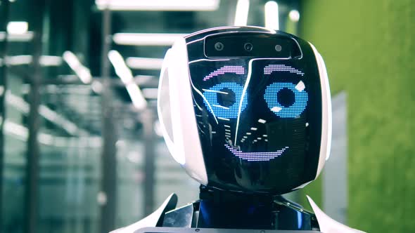 Humanlike Cyborg Is Moving Its Eyes While Smiling